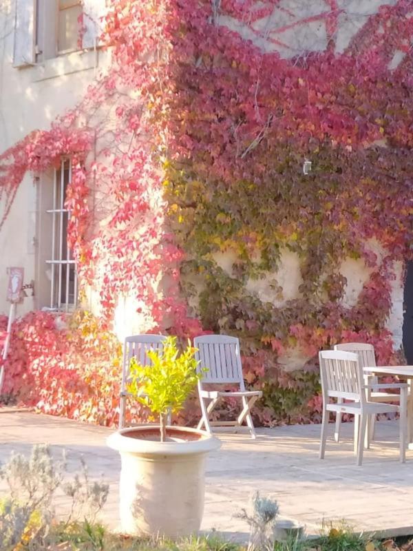Les Amis De Gaure Apartment Rouffiac-d'Aude Exterior foto